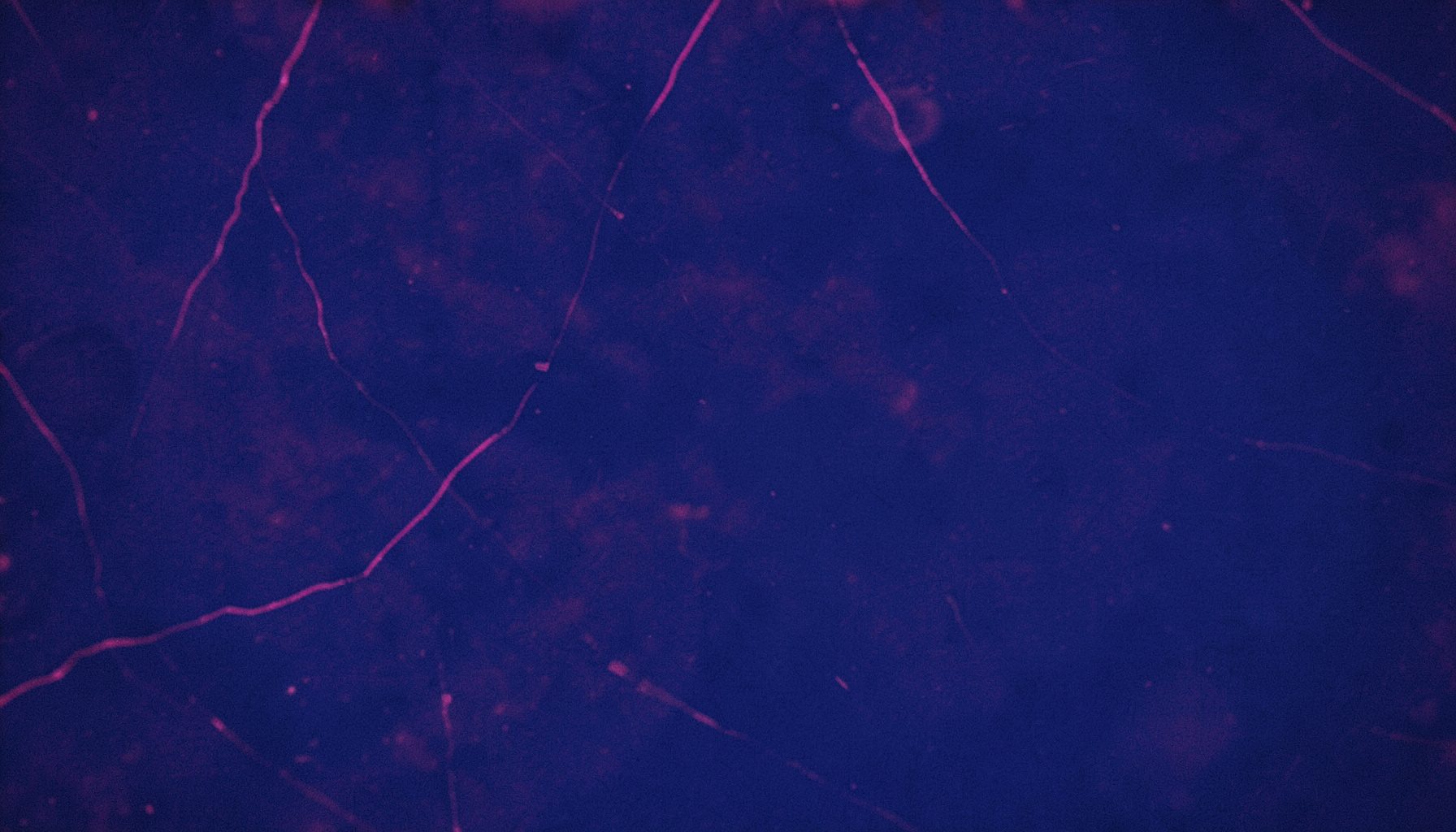 Deep indigo abstract texture with faint pink accent lines and a smooth matte finish